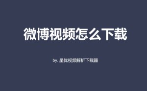 掌握这些实用技巧!轻松学会微博视频下载的多种方法与步骤