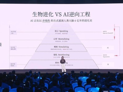 95后“天才少女”罗福莉首秀，为小米AI绘就另类发展蓝图