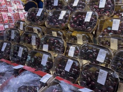 南京车厘子市场“价格战”打响，海运到货价格走低，底价或春节前现