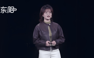 雷军千万年薪押注95后AI少女，小米AI新征程能否逆袭？