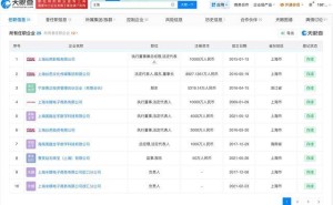 丝芭董事长王靖关联25家企业 约4000万股权遭冻结