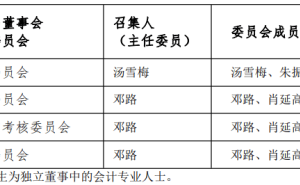 扬电科技2025年董事会换届落定 汤雪梅任董事长 王玉楹出任总经理