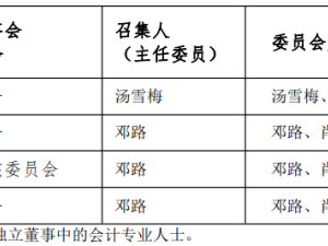 扬电科技2025年董事会换届落定 汤雪梅任董事长 王玉楹出任总经理