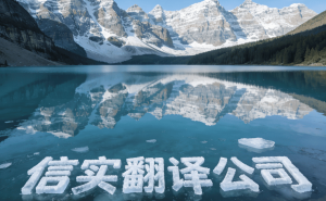 信实翻译公司:权威资质与专业团队,证件翻译领域的优选伙伴