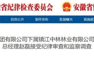 中国林业集团下属公司原董事长、总经理赵磊正接受纪律审查和监察调查