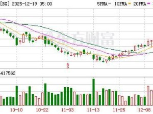 黑石集团苏世民：数据中心业务稳健保守，非泡沫式投资