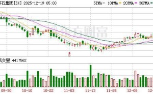 黑石集团苏世民:数据中心业务稳健保守,非泡沫式投资