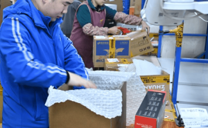 30亿件快递背后的成都密码：交通枢纽、产业融合与技术变革的协同共进