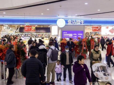 盒马旧宫万科广场店开业 亦庄新城添“新鲜生活中心”首日客流超2万