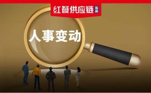 供应链年末人事变局：90后接班、老将擢升、国际巨头换帅，新挑战待解