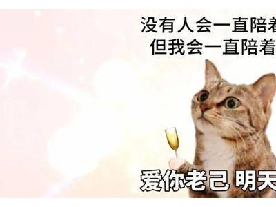 老己成年轻人新宠:从自嘲到自爱,开启温暖自我关怀之旅