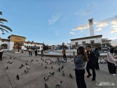 摩洛哥：机遇与挑战并存，高昂“学费”下如何掘金？