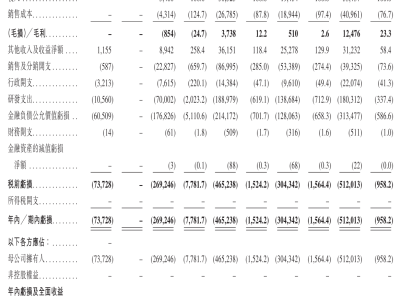 MiniMax通过上市聆讯：以低投入成全模态领先，海外营收占比超七成