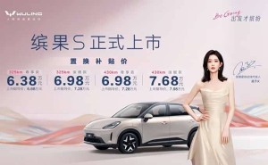 五菱缤果S：精准洞察需求，于理性消费浪潮中铸就销量传奇