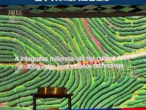 “实景演出第一股”印象大红袍上市首日股价遇冷，一度跌幅超16%