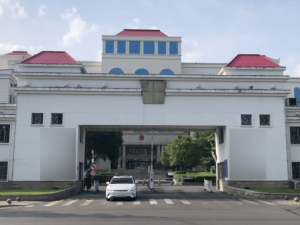 比亚迪以硬核实力获公务员青睐 见证中国汽车消费价值新变迁