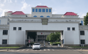 比亚迪以硬核实力获公务员青睐 见证中国汽车消费价值新变迁