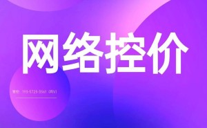 线上产品控价难题如何破?四大策略构建品牌价格防护网