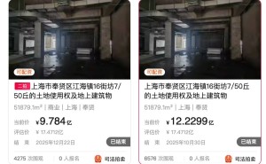 上海奉贤富力万达广场二次流拍：停工四年，五六折拍卖仍无人问津