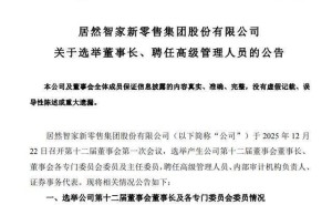 居然之家完成管理层换届：王宁任董事长兼CEO 朱蝉飞接任财务总监