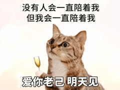 从“自嘲”到“爱己”：年轻人用“老己哲学”拥抱自我成长之路