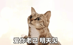 从“自嘲”到“爱己”：年轻人如何在和解中拥抱自我？