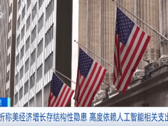 美经济增长背后存隐忧：过度依赖AI支出，债务风险或随投入攀升