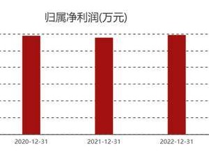 箭牌家居完成董事会换届 谢岳荣掌舵 2024年净利跌至七年谷底