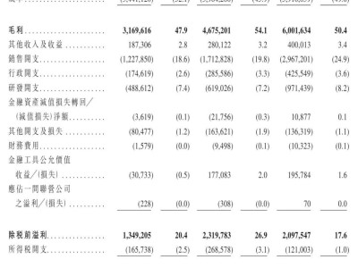 石头科技拟赴港上市构建“A+H”格局 前三季扣非净利降30% 小米或套现近2亿