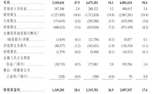 石头科技拟赴港上市构建“A+H”格局 前三季扣非净利降30% 小米或套现近2亿