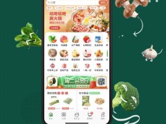 传京东或收购叮咚买菜 双方暂未回应 叮咚买菜2024年业绩表现亮眼