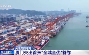 美丽海湾建设成果斐然：“十四五”目标超额达成 绘就人海和谐画卷