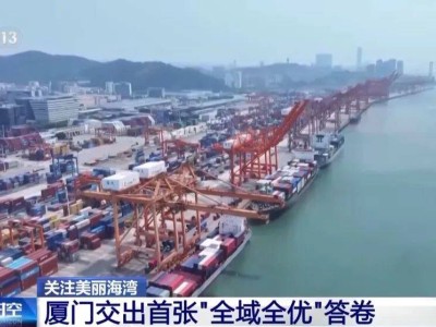 “十四五”美丽海湾建设超额达标！多地探索绿色路径绘就人海和谐新画卷