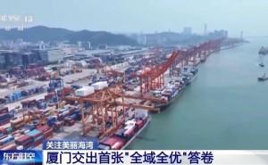 “十四五”美丽海湾建设超额达标！多地探索绿色路径绘就人海和谐新画卷