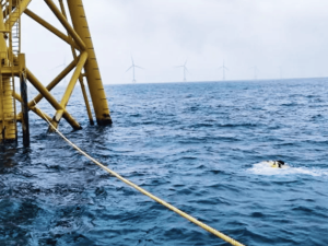 河北80后创业者魏建仓:融资超13亿,深之蓝冲刺“中国水下机器人第一股”