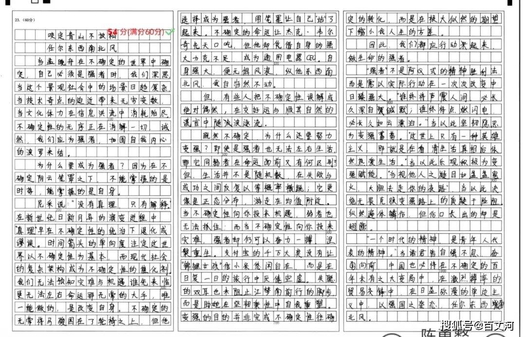 陈勇整作文