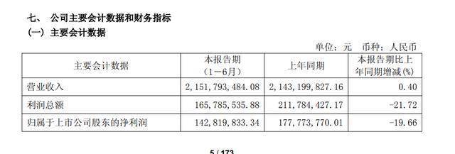 得邦照明财报数据