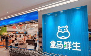 2025年盒马盈利破局：以双业态与立体网络重塑即时零售新标杆