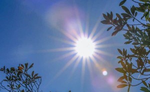 虚拟现实游戏:以沉浸之姿,为教育领域注入创新活力与变革动力