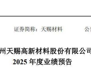 天赐材料2025年净利预增超127%,董事长徐金富2024年薪酬326.7万元未涨