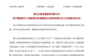 正泰电器拟赴港上市拓宽融资路 总市值614亿 董事长南存辉三年薪酬近1700万