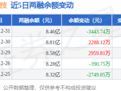 石头科技12月31日融资动态：融资净卖出超3400万 融资融券余额降至8.46亿