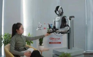 具脑磐石成立两月获数千万融资，以脑启发范式探索具身智能新路径