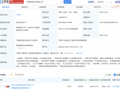 宝丰能源在宁夏成立化学公司，注册资本10亿