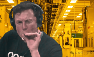 马斯克放话特斯拉将建2nm晶圆厂，还打算在厂内抽雪茄吃汉堡？
