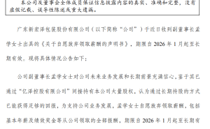 广东新宏泽副董事长孟学弃领百万年薪 专注公司战略长期发展