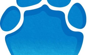 京东“变色龙业务部”亮相，整合资源助力AI业务长期稳健发展