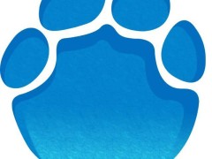 京东“变色龙业务部”亮相，整合资源助力AI业务长期稳健发展