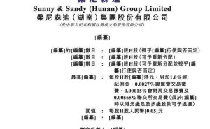 桑尼森迪冲刺港交所：董事长夫妇持股超半数 均出自湖南工程学院