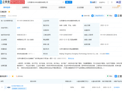 东华软件投资成立科技服务公司